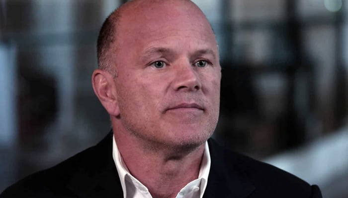 CEO Galaxy Digital Michael Novogratz: Bitcoin door deze ...