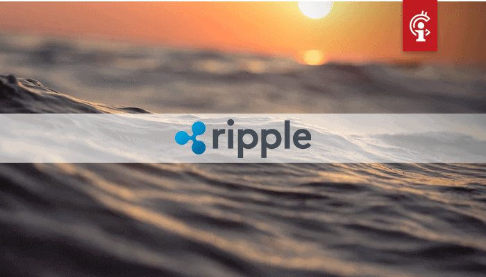 Ripple (XRP) CTO vertelt hoe en waarom hij miljoenen misliep door bitcoin en ethereum te ...