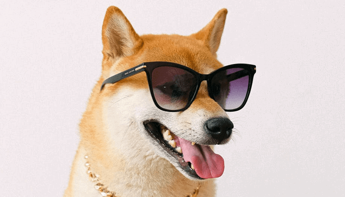 Dogecoin Koers - Dogecoin Doge Schiet Nog Eens 50 Omhoog ...