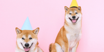 Is de WallStreetBets rage omtrent Dogecoin (DOGE) toch nog ...