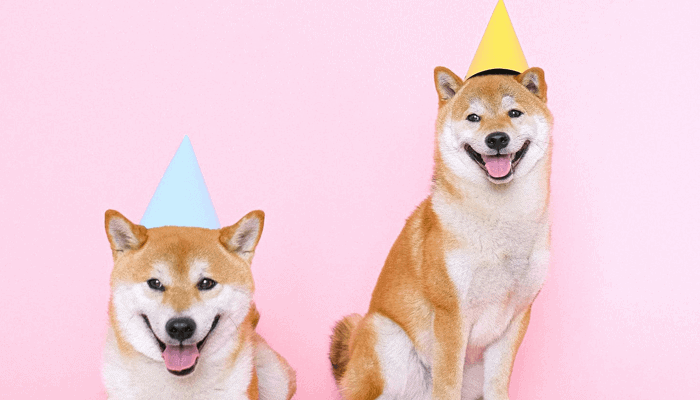 Dogecoin Koers - Gratis Dogecoins Verdienen Bitcoingratis ...