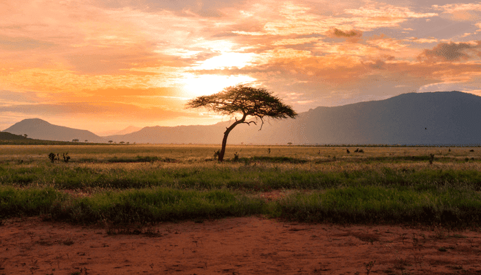 Cardano (ADA) oprichter: “We staan aan de vooravond van grote deals in Afrika”