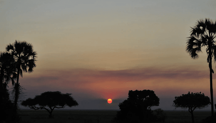 Cardano (ADA) geeft Tanzanianen internetverbinding en digitale ID met nieuwe samenwerking