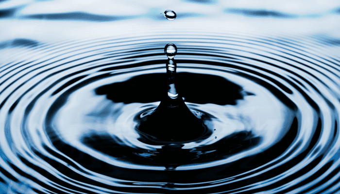 Ripple (XRP) kan nieuwe prijsrecords neer gaan zetten, tweet investeringsveteraan Peter Brandt ...