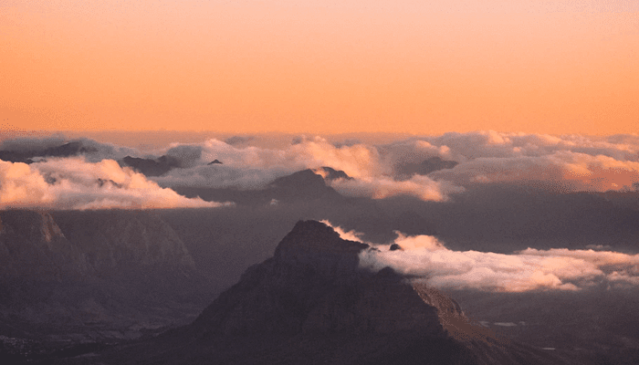 Bitcoin (BTC) raggiunge il picco di $ 44.500 mentre Dogecoin (DOGE) continua a crescere » Crypto Insider