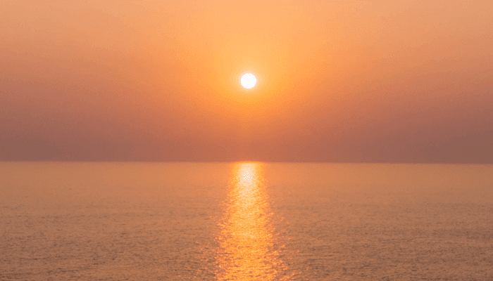 Solana (SOL), concorrente di Ethereum (ETH), è già salito di oltre il 5.500% quest’anno, cosa si aspettano gli analisti?  » Insider cripto Solana (SOL), concorrente di Ethereum (ETH), è già salito di oltre il 5.500% quest’anno, cosa si aspettano gli analisti?  » Insider cripto