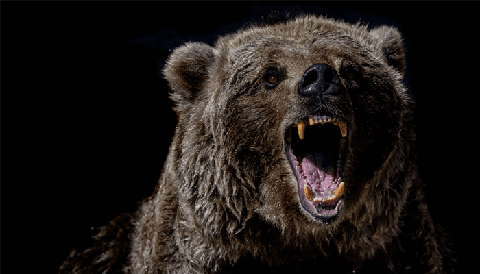 Bears drukken bitcoin koers naar $40.000. John bekijkt ethereum, cardano, star atlas en meer