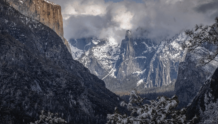 Il prezzo di Bitcoin (BTC) chiude a $ 50.000, ma gli orsi non si arrenderanno