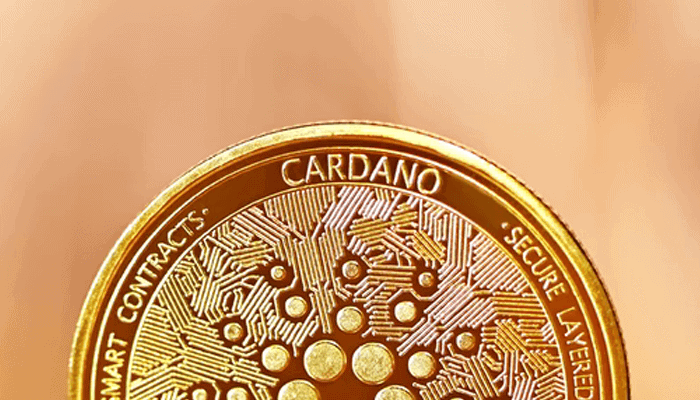 Groei Cardano is ‘absoluut uitzonderlijk,’ aldus oprichter