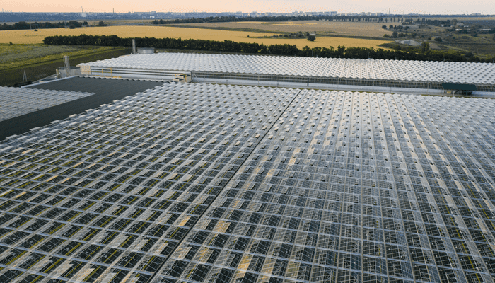 Nederlandse bitcoin miner levert warmte voor de glastuinbouw