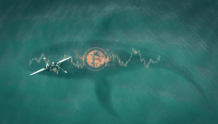 Bitcoin whales verantwoordelijk voor 99% van het transactievolume