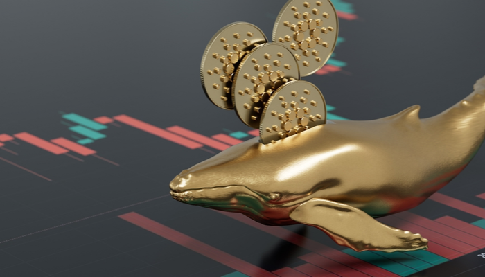 Cardano whales kopen groots ADA in