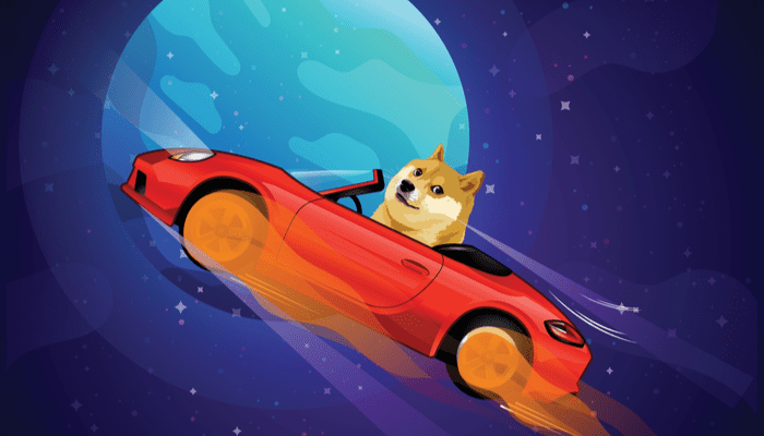 Crypto Insiders weekupdate: Dogecoin stijgt door Musk, en meer nieuws!