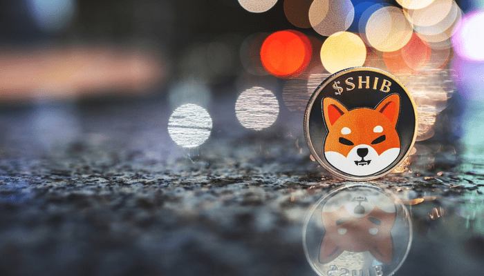 Cardano en shiba inu vaak lang vastgehouden door Coinbase gebruikers