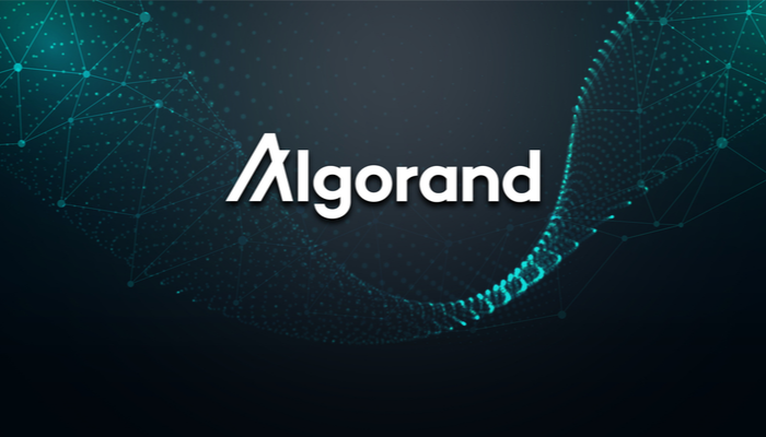 Premium fundamentele analyse: Algorand (ALGO)