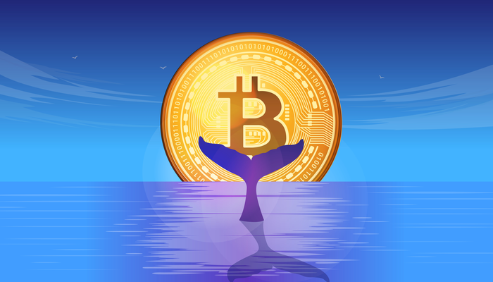 Bitcoin whale met 1.000 BTC uit 2013 weer actief