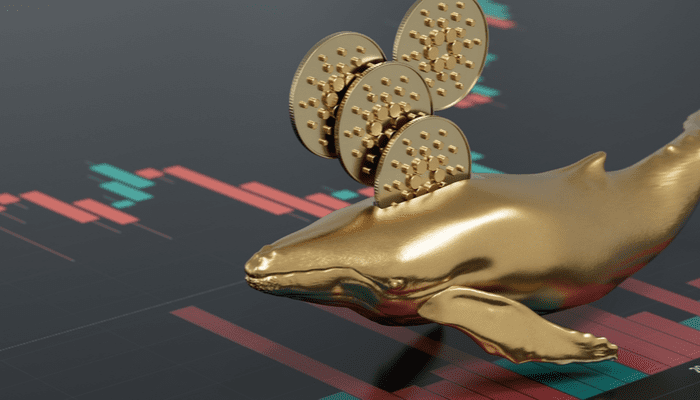 Cardano whales lijken eindelijk weer in te slaan