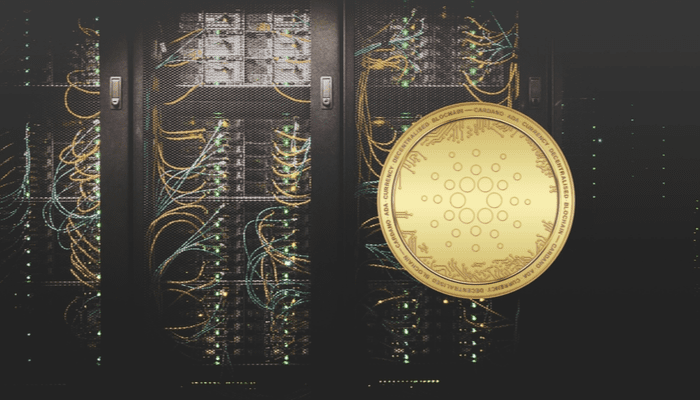 Cardano adoptie stijgt hard ondanks dalende ADA koers