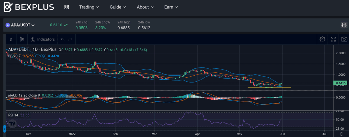 bexplus ada