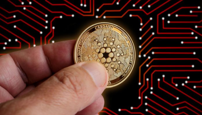 Cardano Vasil hard fork uitgesteld door bugs