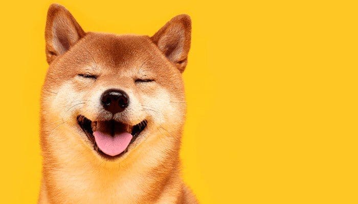 Shiba inu (SHIB) koers stijgt 23% na prijsuitbraak