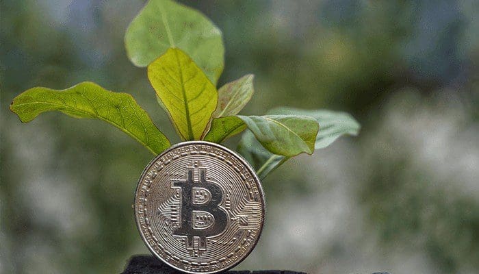 Bitcoin kan in de toekomst CO2-neutraal worden