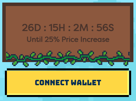 Connect the wallet