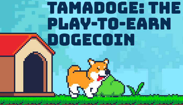Waarom Tamadoge volgens crypto experts Shiba Inu en Dogecoin kan inhalen