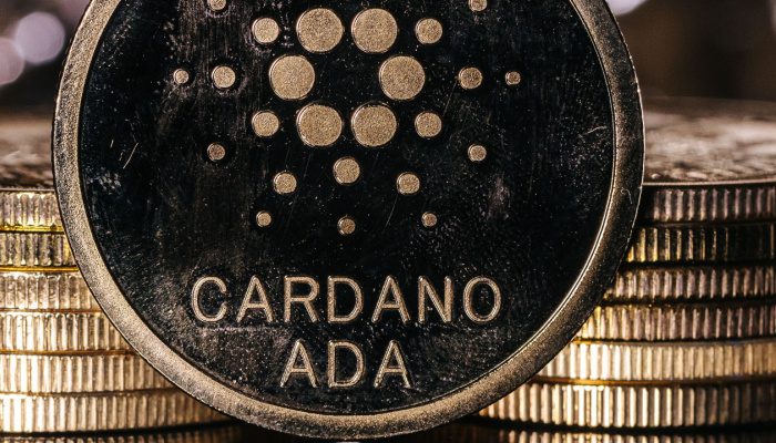 Tijdelijke Cardano netwerkfout geen reden voor paniek, zegt oprichter