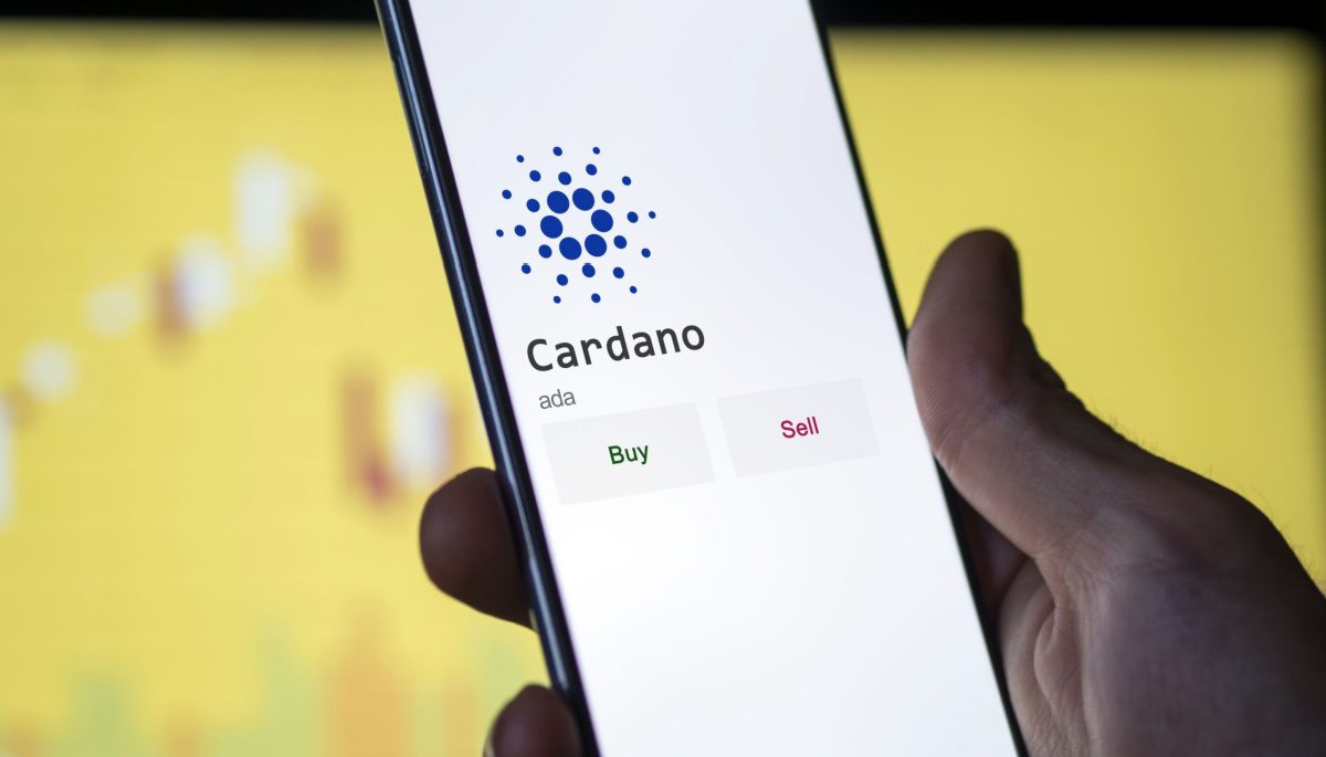 Cardano DeFi ecosysteem beleeft uitstekend kwartaal, dit is waarom