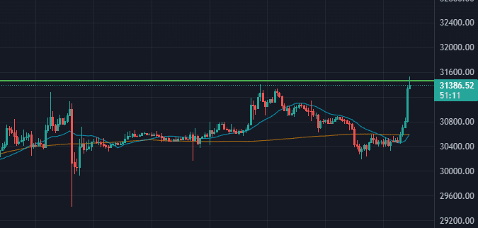 Tradingview yearly high