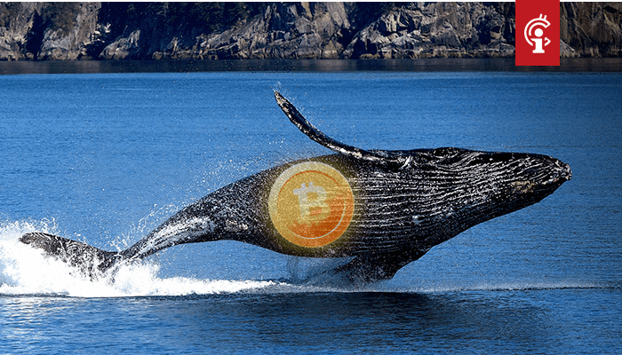 Bitcoin (BTC) whales versturen meer dan €1,5 miljard aan BTC
