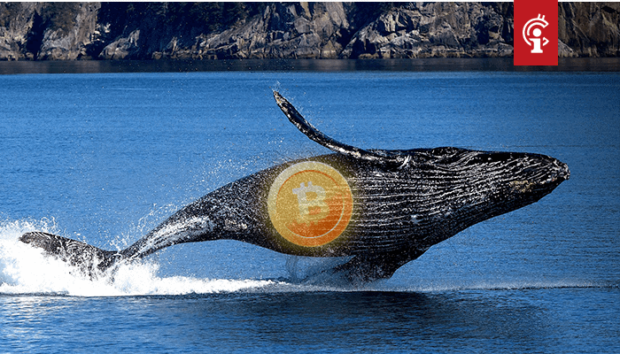 Bitcoin-BTC-whales-versturen-meer-dan-15-miljard-aan-BTC-1 Bitcoin (BTC) whales versturen meer dan €1,5 miljard aan BTC