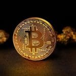 Bitcoin Bubbel volgens Bank of America