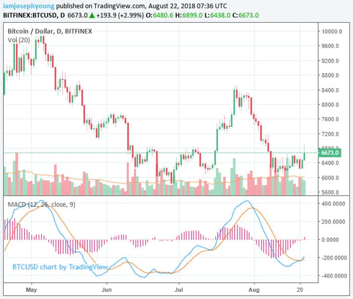 Bitcoin_piekt_dichtbij_6900_dollar_terwijl_bitmex_exchange_offline_gaat_grafiek