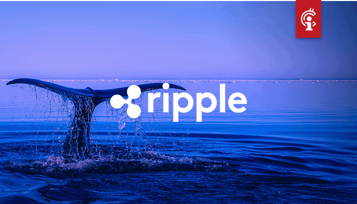 Er is 100 miljoen XRP overgemaakt naar voormalig Ripple CTO McCaleb