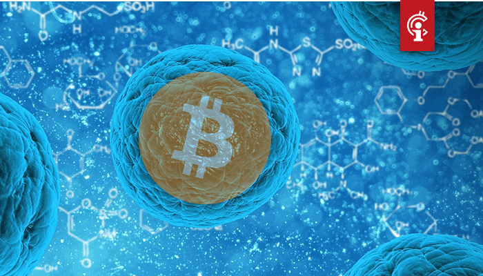 Glupteba-malware-maakt-gebruik-van-Bitcoin-BTC-blockchain-voor-cryptojacking-1 Glupteba malware maakt gebruik van Bitcoin (BTC) blockchain voor cryptojacking