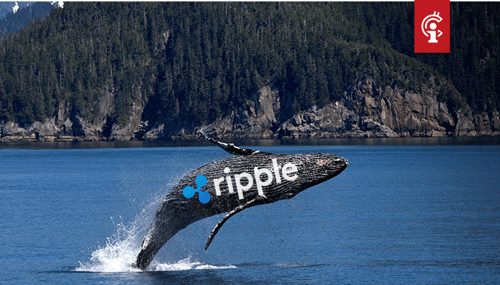 Ripple-verstuurt-31-miljoen-XRP-naar-wallet-voor-verkoop-1 Ripple verstuurt 31 miljoen XRP naar wallet voor verkoop
