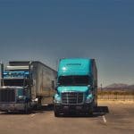 australische_verzekeraar_start_met_blockchain_project_voor_de_export_van_rund