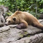 bears_uitgeput_short_posities_nemen_af_long_posities_stijgen_op_Bitcoin_futures_markt