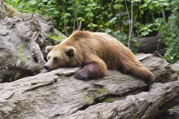 bears_uitgeput_short_posities_nemen_af_long_posities_stijgen_op_Bitcoin_futures_markt bears_uitgeput_short_posities_nemen_af_long_posities_stijgen_op_Bitcoin_futures_markt