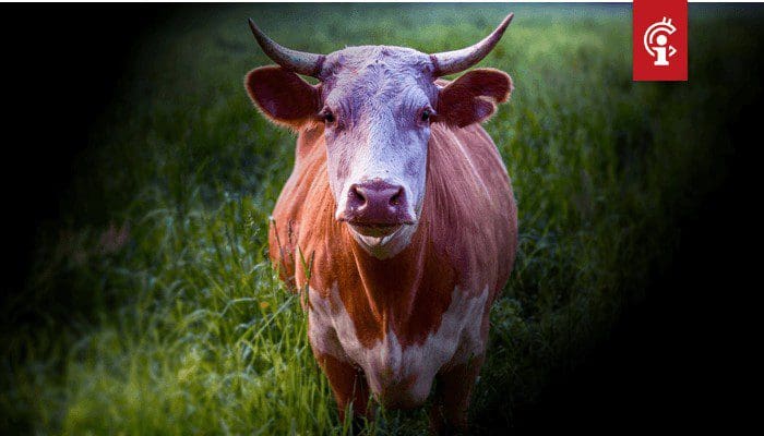 bitcoin_BTC_koers_handelt_zijwaarts_maar_toont_bullish_signalen Als de bitcoin (BTC) bull run komt, heb jij dan een plan?