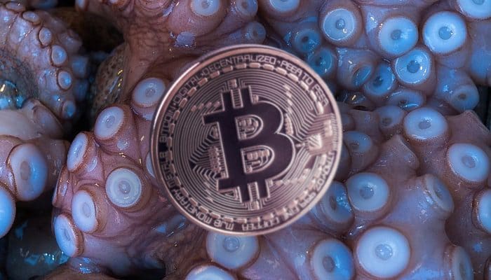 bitcoin_BTC_verdienen_ga_bij_cryptocurrency_exchange_kraken_werken