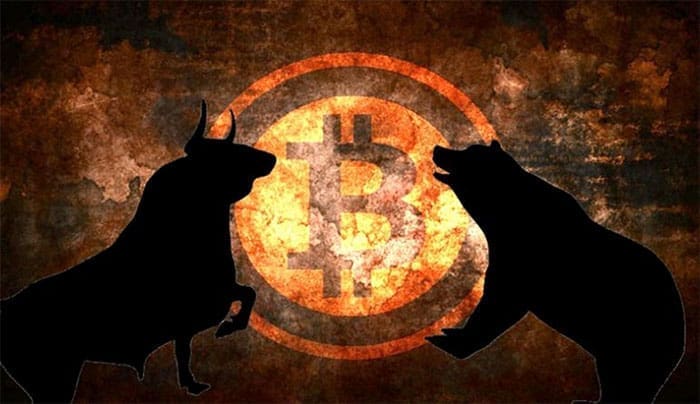 bitcoin bull bear