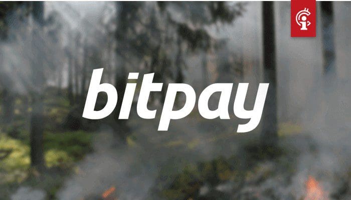 bitpay_weigert_grote_donatie_aan_goed_doel_dat_zich_inzet_voor_amazone_gebied_regenwoud