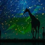 cryptocurrency_regulatie_in_Afrika_laat_op_zich_wachten