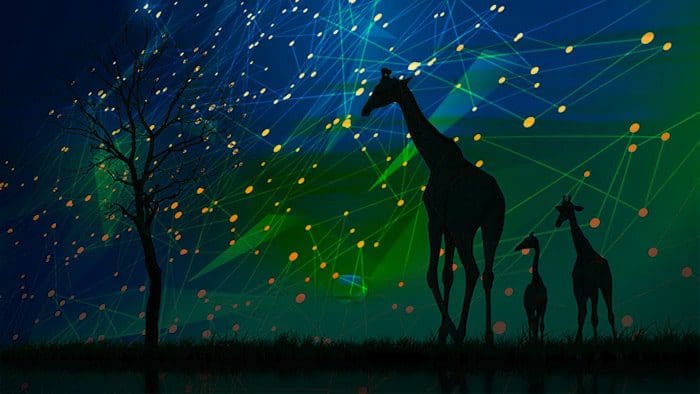 cryptocurrency_regulatie_in_Afrika_laat_op_zich_wachten cryptocurrency_regulatie_in_Afrika_laat_op_zich_wachten