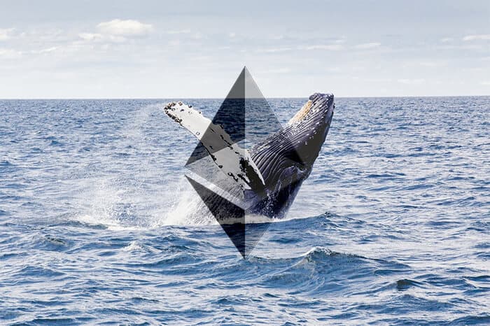 cryptocurrency_whales_vergroten_hun_voorraad cryptocurrency_whales_vergroten_hun_voorraad