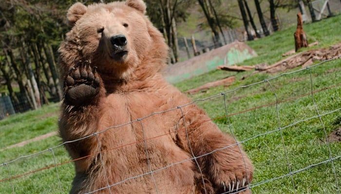 gerenommeerd_crypto_analist_willy_woo_bitcoin_bear_markt gerenommeerd_crypto_analist_willy_woo_bitcoin_bear_markt