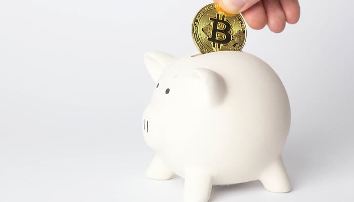 hodl_maar_1_procent_van_bitcoin_Transacties_zijn_betalingen